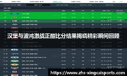 汉堡与波鸿激战正酣比分结果揭晓精彩瞬间回顾